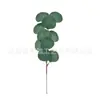 Folha de eucalipto única de simulação DIY, planta verde de simulação, ornamentos para arranjo de flores, estilo ins europeu e americano, decoração de mesa de casa e cozinha