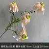 Flores Artificiales de Seda Color Champán para Arreglos Florales, Decoraciones de Pasillo, Arcos, Flores para Techo de Salón de Bodas y Decoraciones de Boda