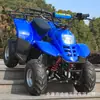 Little Bull ATV 110cc Quatro Rodas Off-Road Pequeno Kart Mini Moto Táxi Quadrado Infantil
