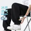 Pantalones de Hielo Finos Sueltos de Verano para Hombre, Pantalones de Pierna Recta de Secado Rápido, Malla Transpirable Versátiles Anti-Mosquitos Pantalones de Aire Acondicionado para Hombres Jóvenes