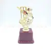 Troféu de competição de críquete prêmio recompensa troféu de plástico banhado a ouro logotipo personalizável