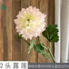 Lótus de Duas Cabeças, Peônia Pérola, Conjunto de Teto para Cena de Casamento, Flores Artificiais, Flores Falsas Colocadas em Restaurantes de Hotel
