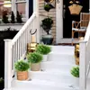 Flores Artificiales Transfronterizas Hojas de Eucalipto Simuladas Hojas de Eucalipto de Plástico Decoración de Jardín Exterior Césped Plantas Falsas