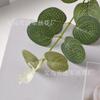 Planta de eucalipto artificial individual, planta verde, decoración, caja de regalo, guirnalda, accesorios de decoración, arreglo floral, accesorios de fotografía, hoja de dinero