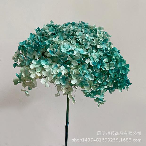 QQ图片20200806133240.jpg
