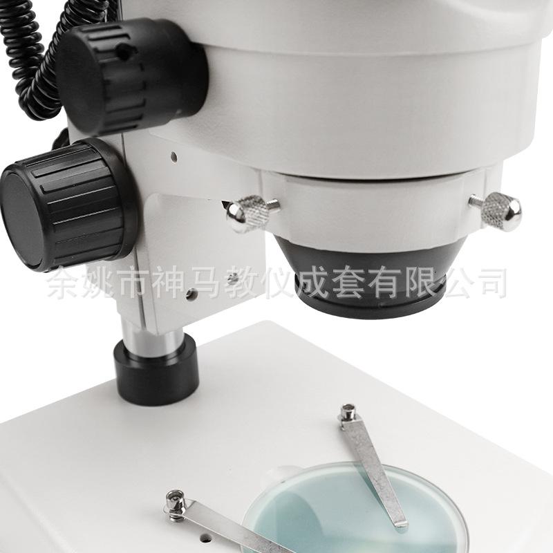 SZM45-B1 小连变上下光源-7.jpg