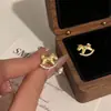 Brincos de Pônei com Design Único para Mulheres 2026 Novo Estilo Quente Brincos de Prata Esterlina de Luxo Leve Elegantes Versáteis de Nicho
