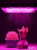 Luz de Relleno LED para Plantas Lámpara de Crecimiento Espectro Completo Suculenta Invernadero Verdura Flor Plántula 110V220V
