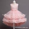 Vestido de Niña Personalizado con Cola y Falda Tutú con Dibujos y Muestras. Procesamiento Personalizado y Personalización de Ropa de Malla para Niñas