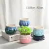 Esmalte Fluido Colorido Médio Vasinho de Flor Carnuda Cerâmica Respirável Combinação Transfronteiriça Nórdica Vaso Redondo Personalizado Criativo