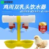 Bebedouro Automático para Frangos de Duplo Bico, Bebedouro de Bola de Aço para Frangos, Equipamento Automático de Alimentação de Água, Copo de Água com Bola, Copo de Beber para Avicultura