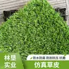 Cerca de Césped Sintético para Campos de Fútbol, Césped Artificial Falso, Alfombra para Techos, Tapete de Césped, Plantas de Alta Simulación, Impermeable