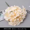 Serie de Flores de Tira Color Champán Seda Artificial de Boda Niebla Phalaenopsis Arco de Salón de Bodas Ramo de Decoración Falsa Dropshipping