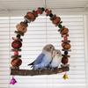 Juguetes para Loro Piña Cadena de Nueces Bloque de Madera de Manzano Cadena para Masticar Escalera de Trepa Molienda de Pico Juguete para Pájaro Paisajismo Suministros para Pájaros