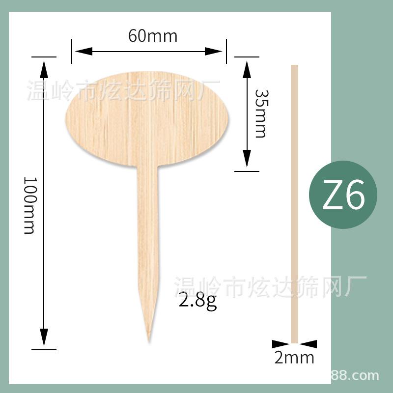 Z6.jpg