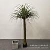 Árbol de Orquídea de Seda Artificial en Maceta Estilo Nórdico Hierro Holandés Árbol Falso Solanum Nigrum Árbol de Sangre de Dragón de Varilla Multi-artificial Árbol Decorativo de Piso en Maceta