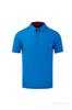 Polo de Manga Corta Liso Elástico con Cuello Lapel 190g 40 Piezas Golf Ropa de Trabajo Personalizada Camisa Cultural Estampada con Logo