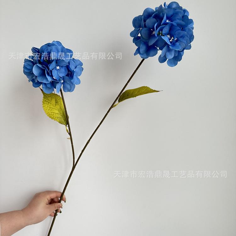 2e8854f37ace64705f53d0b410d294