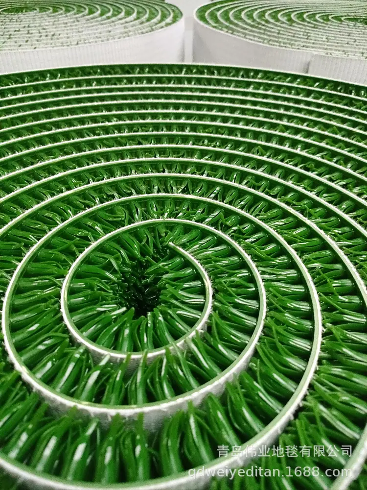 淘金草