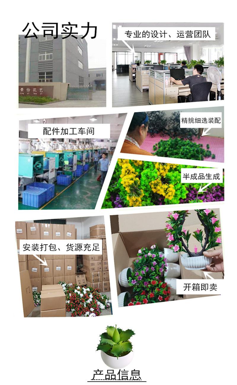 IMG_20200314_150041_副本