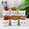 Dongheng Maceta de Animales Estilo Japonés y Coreano Maceta Mini Pulgar Adornos Set de Búho Cambio de Horno Maceta para Suculentas con Base