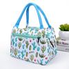 Atacado Nova Moda Zíper Portátil Bolsa Térmica Senhoras Desenho Animado Impermeável Lancheira com Folha de Alumínio Lancheira Térmica