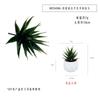 Em estoque Simulação Aloe vera verde escuro carnudo Planta em vaso Ornamentos de mesa Mini planta verde Bonsai TEMU Simulação Planta
