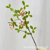 Isla de Planta Artificial Flor de Primavera Campana Colgante Hoja de Múltiples Pétalos Hoja de Madera de Caballo Estilo Ins Celebridad de Internet Casa de Huéspedes Decoración del Hogar Ramas y Hojas