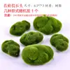 Rochoso de Pedra Absorvente de Água, Bonsai de Pedra d'Água, Micro paisagismo de Jardim, Decoração para Plantas Suculentas, Enfeites de Árvores Pequenas, Acessórios