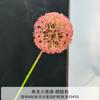 Nova Bola de Cebola Casamento Flor de Simulação Sala de Estar Decoração de Casa Flor Única Flor de Dente-de-leão Planeta de Plástico Hortênsia