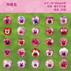 Paquete de Pegatinas Retro Story Serie Duoduo Tema de Flores Pintadas a Mano Pegatinas Decorativas para Diario DIY 25 Piezas