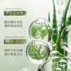 Shampoo Refrescante e Volumoso Folha de Platycladus Aloe Vera Baizhentang Atacado Cabelo Refrescante, Volumoso e Liso Cuidado Capilar Sedoso