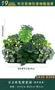 Flores Artificiais Plantas Verdes Conjunto de Divisória Decorativa Flores de Plástico e Seda Decoração de Paisagismo Arranjo de Paisagem Exibição de Janela Interna