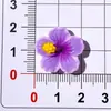 Accesorios de Resina Brillantes y Coloridos de Flor de Cinco Pétalos para DIY Zuecos Pinzas para el Cabello Gomas para el Cabello Fundas para Teléfono Imanes para Refrigerador Pegatinas Decorativas
