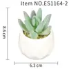 Suculenta Planta Taça de Diamante Bonsai Decoração Casa Escritório Es1178-4 Paisagem em Microfibra Aveludada Mini Alta Simulação