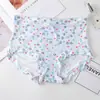 Ropa Interior Sin Costuras para Mujer, Entrepierna de Algodón Puro Antibacteriano, Transpirable, Estampada para Niñas, Estilo Delgado de Verano, Cintura Media, Talla Grande, Estilo de Seda de Hielo para Mujer