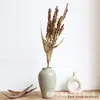 Nuevo Producto de Rhapsody [Flores Secas de Cigarro] Flor Real Estilo Wabi-Sabi Famosa Decoración Suave Decoración del Hogar Arreglo Floral Ramo Ramas Secas