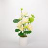 Decoración de planta en maceta de raíz de loto EVA de simulación planta verde falsa Loto de plástico hoja de loto nenúfar fotografía boda loto falso