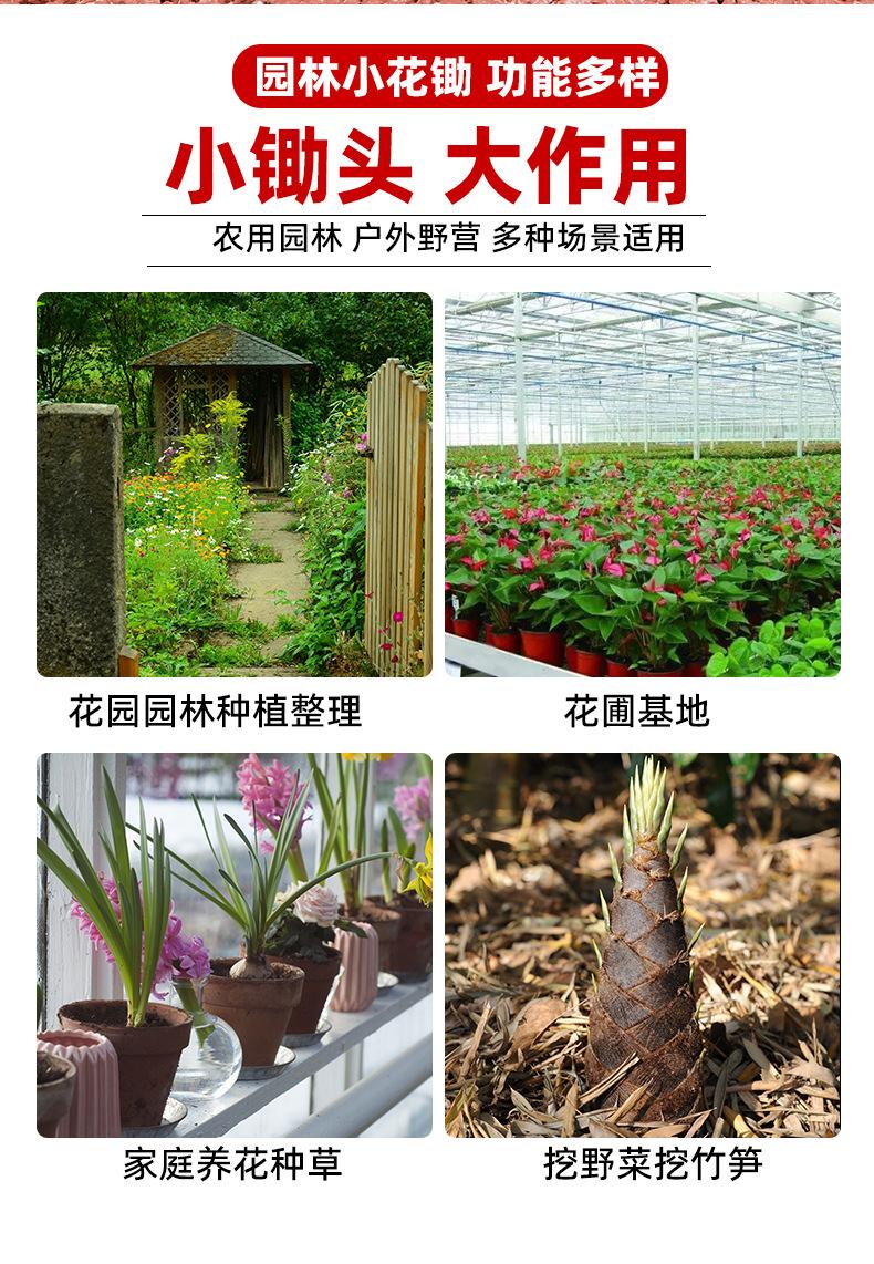 xiaochutou_02.jpg