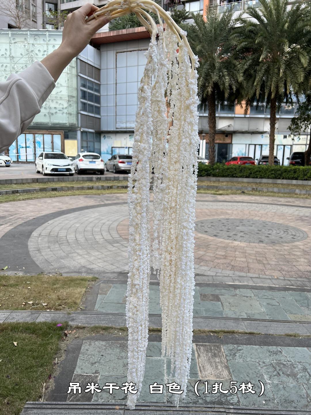 微信图片_20231214125431