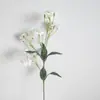 Piedra de Incienso Simulada Bambú Flor Pequeña Paulowering Flor Falsa Flor Decorativa Sala de Estar Hogar Estilo Pastoral Flor de Seda Floral Boda Flor Biónica