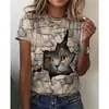 Camiseta de Verano Independiente para Mujer Amazon Gato Gordo Lindo Impresión 3D Exportación Europea y Americana Transfronterizo Aliexpress Estilo de Moda