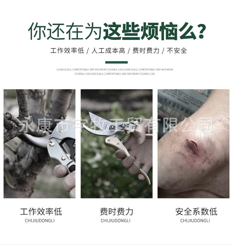 详情_03.jpg