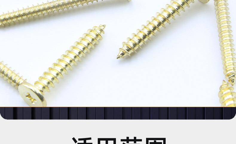 金色304不锈钢CA十字薄头自攻螺丝_03_20.jpg