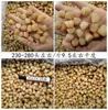 Columna de vieira seca Guangxi Beihai al por mayor seca ligera 200 cabezas 350 cabezas 400 cabezas mariscos secos crudos 500g gachas