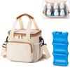 Bolsa de Hielo Refrigerada Impermeable de Gran Capacidad Personalizada por el Fabricante Almacenamiento para Conservación de Leche Materna Bolsa de Leche para Llevar Bolsa de Mamá para Refrigeración