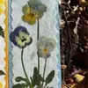 Flores reales flores prensadas tarjetas de felicitación de flores prensadas con tema de bosque, tarjetas de votos, tarjetas, regalos florales, marcapáginas, tarjetas de presentación, tarjetas de invitación y artículos decorativos