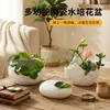 Vaso Hidropônico Cerâmico Irregular Criativo Design Moderno Minimalista para Decoração de Casa Formato de Ovo para Cultivar Plantas Verdes