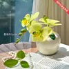 Orquídea Borboleta Biônica Flor Artificial Decoração Mesa de Jantar Floral Realista Decoração de Entrada de Quarto Ornamentos