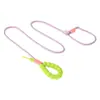 Correa de Nylon de Grado Competitivo para Perros para Entrenamiento al Aire Libre, con Portabolsas para Excrementos, Correa Cómoda de Algodón Espumado para Perros, Correa Duradera para Pasear Perros